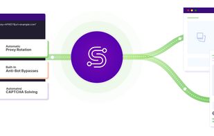 ScraperAPI screenshot 2