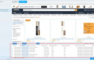 ScrapeStorm screenshot 2