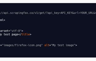 ScrapingFox screenshot 1