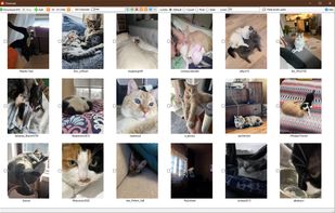 SCrawler screenshot 1