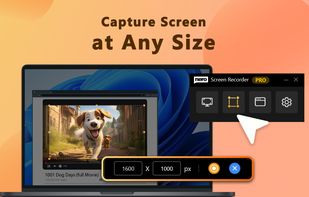 Capture Screen at Any Size