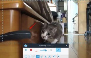 Apowersoft Screen Recorder screenshot 1