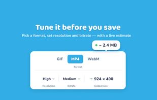 Screen To GIF screenshot 2