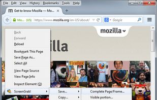 Screengrab! screenshot 1