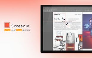 Screenie for Windows screenshot 1
