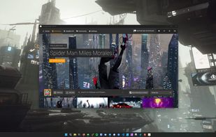 ScreenPlay screenshot 2