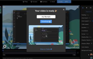 ScreenRun screenshot 2