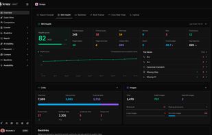 Website audit — technical SEO health, prioritized issues, and crawl insights