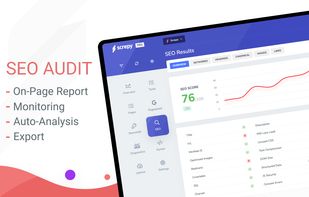 SEO Audit