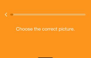 Practice listening skills by matching words to pictures.