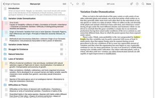 See the forest or the trees