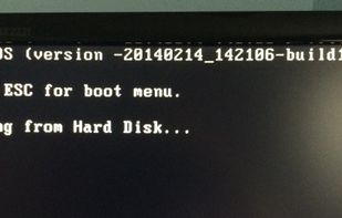 SeaBios screenshot 1