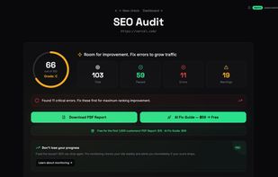 SEO Audit results dashboard — instant score with detailed breakdown of passed checks, errors, and warnings. Download PDF report or get AI-powered fix instructions.