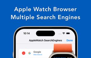 Search Ace screenshot 2