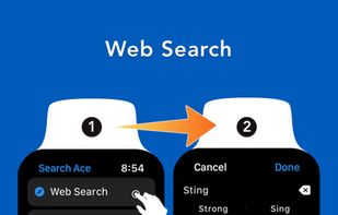 Search Ace screenshot 1