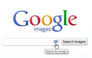 Search by Image (by Google) screenshot 1