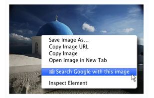 Search by Image (by Google) screenshot 2