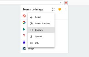 Search by Image screenshot 2