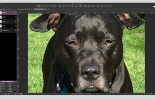 Seashore screenshot 1