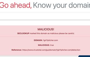 Seclookup Search console