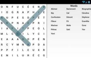 Secret Word Search screenshot 3