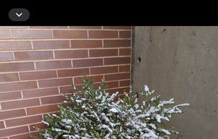 Secure Camera screenshot 1