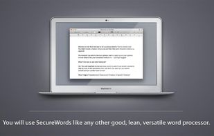 SecureWords screenshot 2