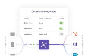 Capture and honor user consent

