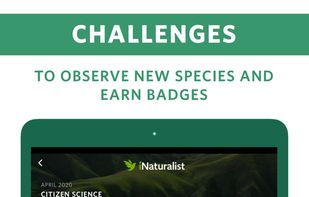 Seek by iNaturalist screenshot 3