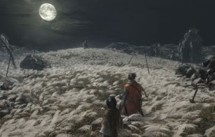 Sekiro: Shadows Die Twice screenshot 2