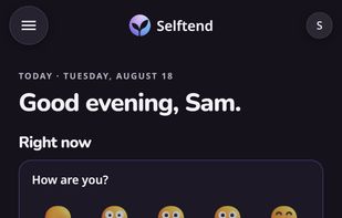 Selftend screenshot 1