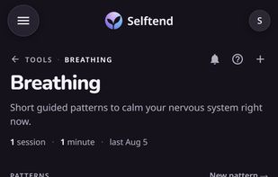 Selftend screenshot 2