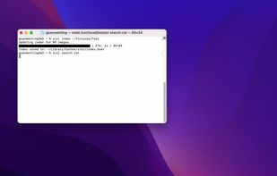 Semantic Image Search CLI screenshot 1