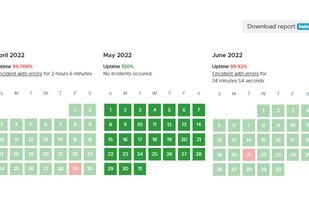 Uptime Monitoring: know exactly when your website was offline or had issues.