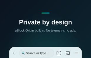 Senda Browser screenshot 2
