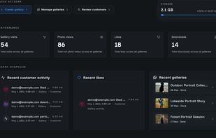 Photographer dashboard with delivery activity and gallery overview.