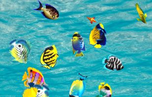 Sensory Baby Game screenshot 3