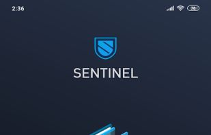 Sentinel screenshot 1