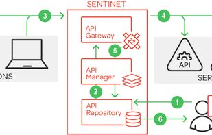 Sentinet screenshot 1