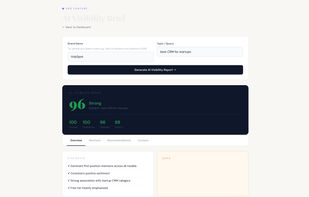 AI Visibility Brief Overview