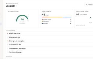 Technical crawls that go beyond surface-level checks, with every detected issue.