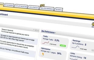 SEO Effect tools. Dashboard