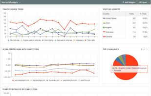 A view of one of our seo manager tool, a much advance detail from Google analytic data simplified in the professional account.