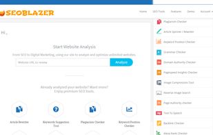 SEOBLAZER screenshot 1