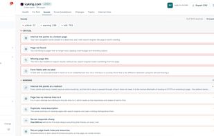 Report - issues discovered