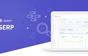 Seodity screenshot 2