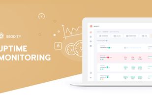 Seodity screenshot 1