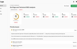 Report interface