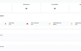 Light house google page speed data shown for website page