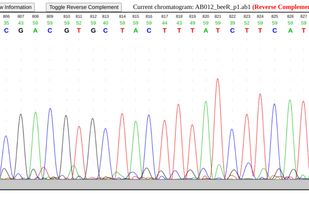 Sequence Chromatogram Viewer screenshot 1